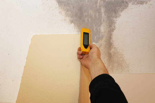 Best Real Estate Mold Inspection  in Woodruff, SC