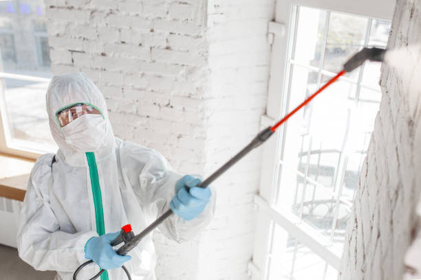 Best Indoor Air Quality Assessment  in Woodruff, SC