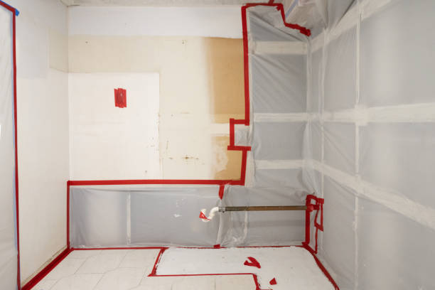 Best Environmental Consulting for Mold Prevention  in Woodruff, SC