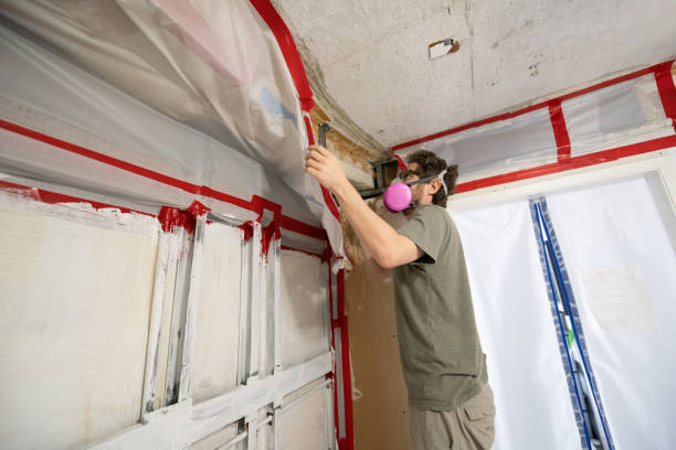 Best Mold Remediation for Healthcare Facilities  in Woodruff, SC