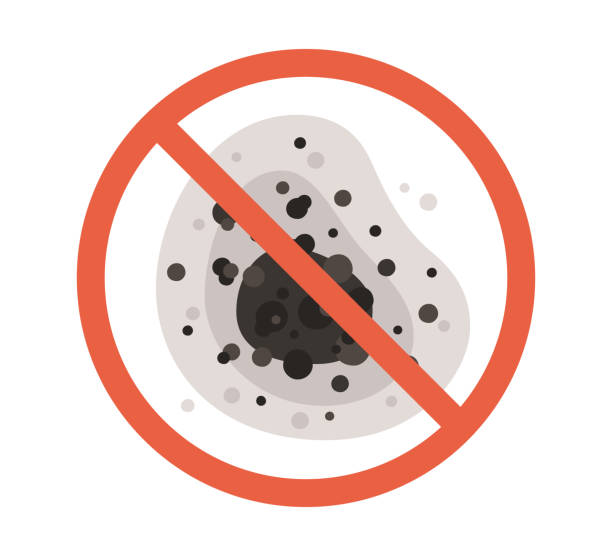  Woodruff, SC Mold Removal Pros