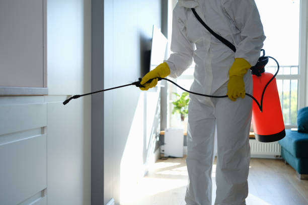 Best Emergency Mold Remediation  in Woodruff, SC