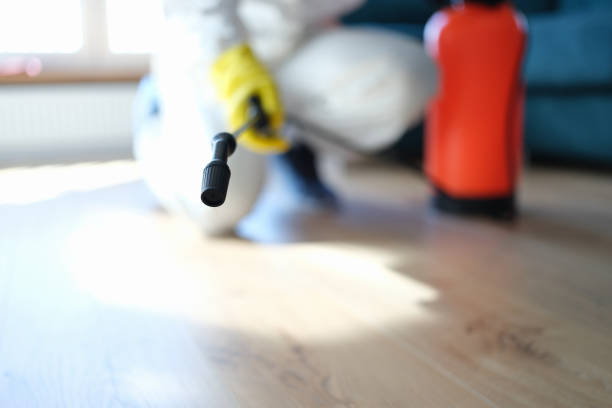 Woodruff, SC Mold Removal Company