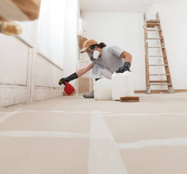 Best Real Estate Mold Inspection  in Woodruff, SC
