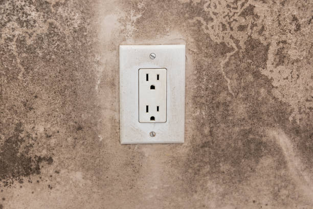 Best Post-Construction Mold Inspection  in Woodruff, SC